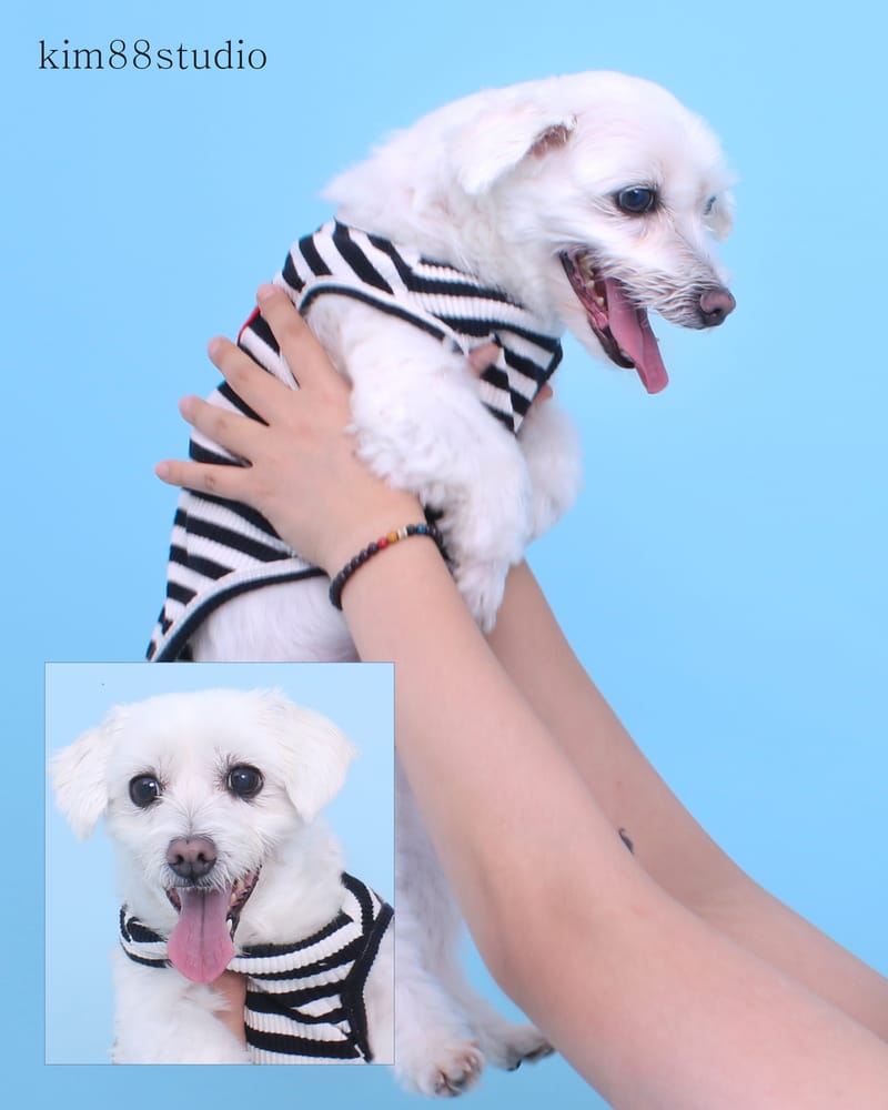 업체 정보 이미지 1