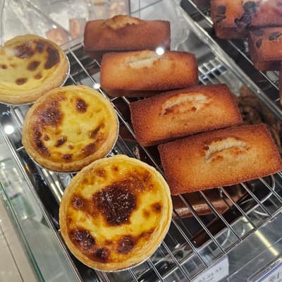[세종 금남] 아름나무 체험단