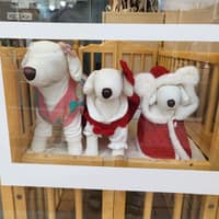 댕일리룩 로고