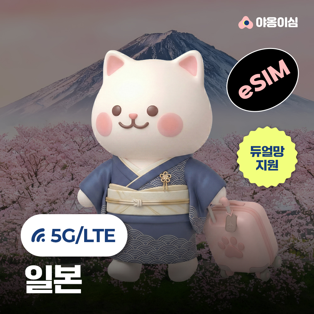 강원 원주시 야옹이심 체험단 모집 | 제품 무료 체험