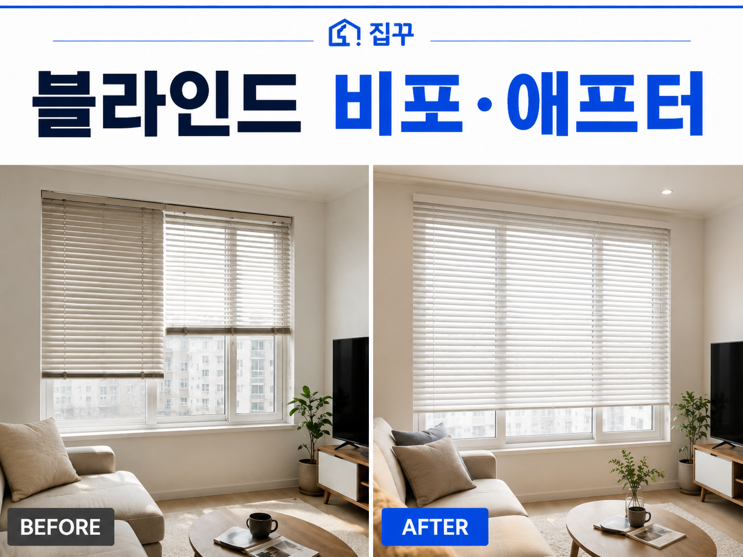 집꾸 사진 3