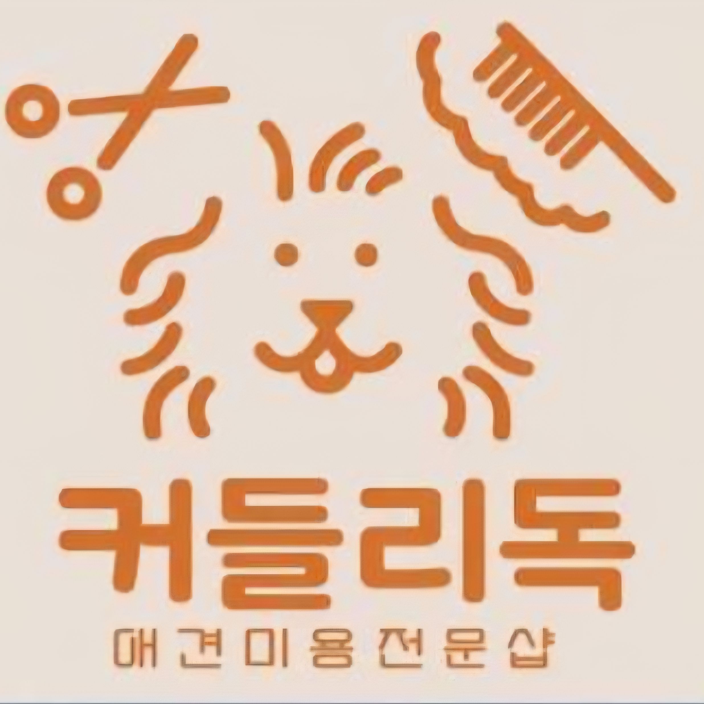 강원 원주시 뷰티 추천: 커들리독 체험단 모집 소식