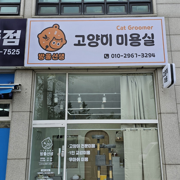 [경기 안산] 고양이미용실 방울선생 체험단