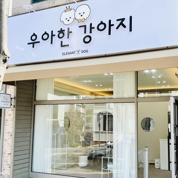 [광주] 우아한강아지