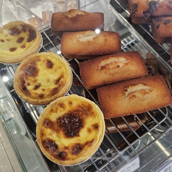 [세종 금남] 아름나무 체험단